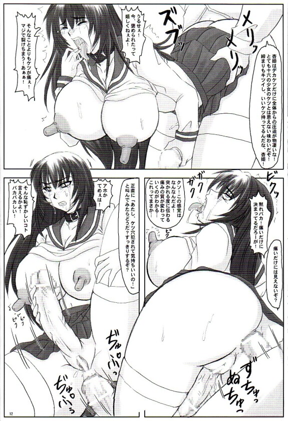 (C68) [Nozarashi (Nozarashi Satoru)] Tatakae! Kyouhime-sama!!