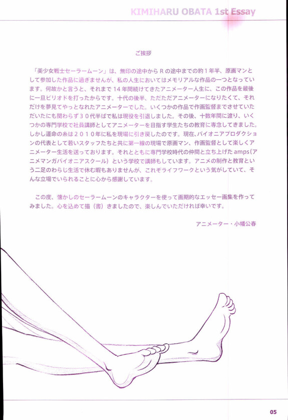  [Kimiharu Obata]  20th Anniversary Essay & Artbook  (Sailor Moon)