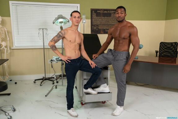 Next Door Studios Sean Xavier, Des Irez