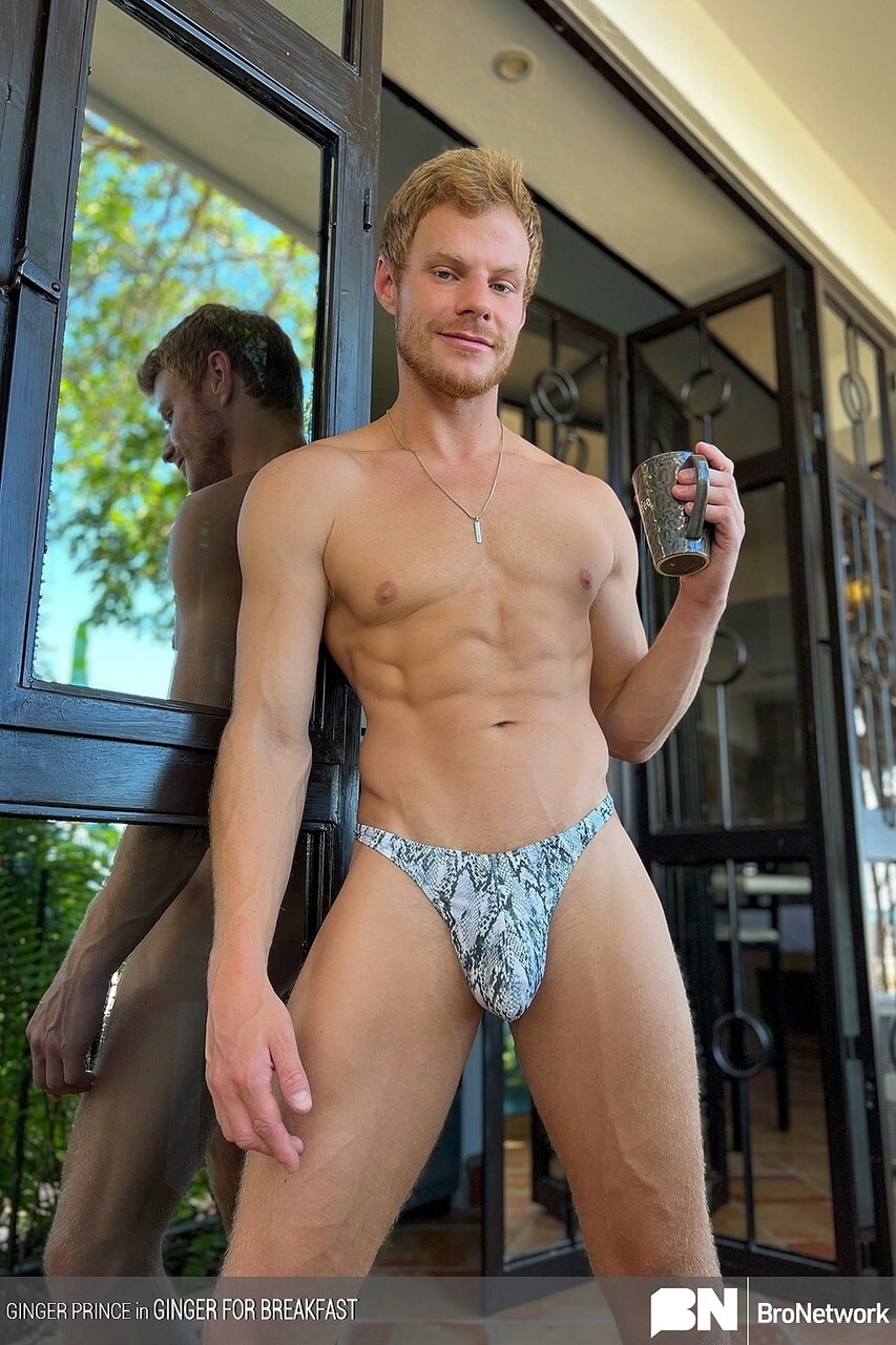 El novato homosexual pelirrojo Ginger Prince sugiere su seis % antes de follar en POV