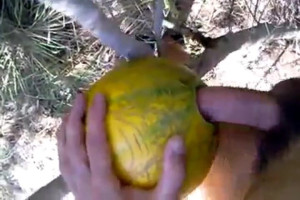 amusement en plein air avec melon