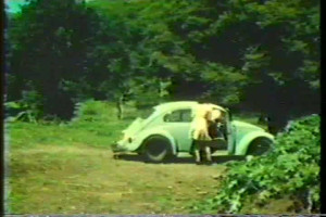 Vintage Geschlechtsverkehr mit im Wald mit nuttigem schwanzgebrauchendem teen