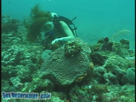 Stunning underwater movement of the sexiest busty divers