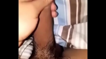 Paja pen&eacute;