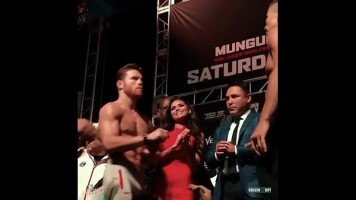 Bulto de Canelo andamp;Aacute;lvarez en el pesaje