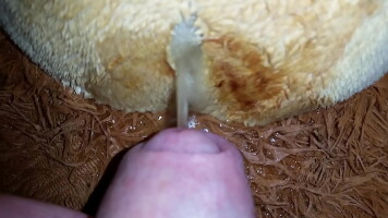 Camiel&#039;s Teddy swallows his pee