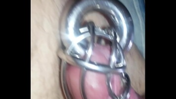 chastity cage