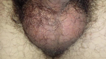 Hairy tranny