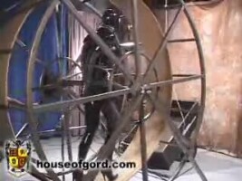 Giant hamster wheel for a busty slave whinge in latex