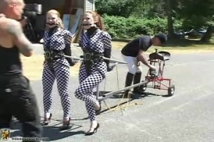 Slaves in checkered bodysuits are precisely like horses