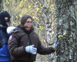 Bibliotecaria amordazada sumisa ofrece una mamada profunda dentro del bosque