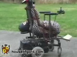 Wicked grasp makes use of his leopard slut as a seat for a  car