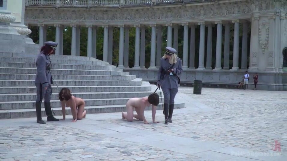 Gestapo mistresses take their human puppies for a public paintings