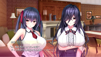 [Eroge giocatore di ruolo: Mucosal potre video 4 di piccole sorelle porridge] Troppo etch!Due biondi capelli d'argento Elfo cosplay figura è troppo carino erotico!(Versione di prova Gurigucha LIVE!Vedi altri contenuti di Hentai game su Facebook